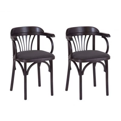 Комплект из 2-х стульев Венский мягкий (венге, ткань М07)